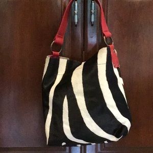 Maurizio Taiuti purse